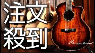 Merida WAVE アコースティックギター｜オール単板 楠木 Merida WAVE