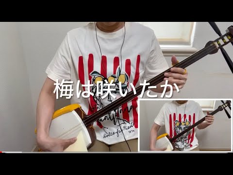 三味線二重奏と唄［梅は咲いたか］ - YouTube