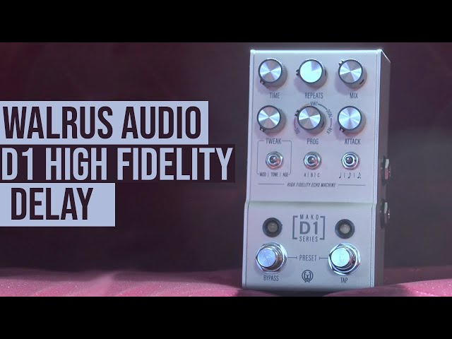 Walrus Audio Mako Series D1 Stereo Delay - Demo - YouTube