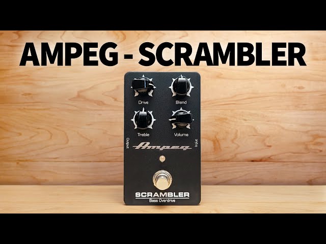 Ampeg - Scrambler Bass Overdrive - YouTube
