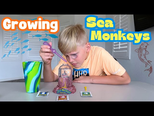 New Family Pets! - YouTube