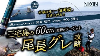 Miyake Island Rock Fishing: Targeting Giant Long-Tail Gure with