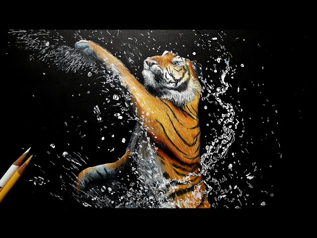 色鉛筆で虎を描いてみた 水しぶき編 Colored pencil drawing of a