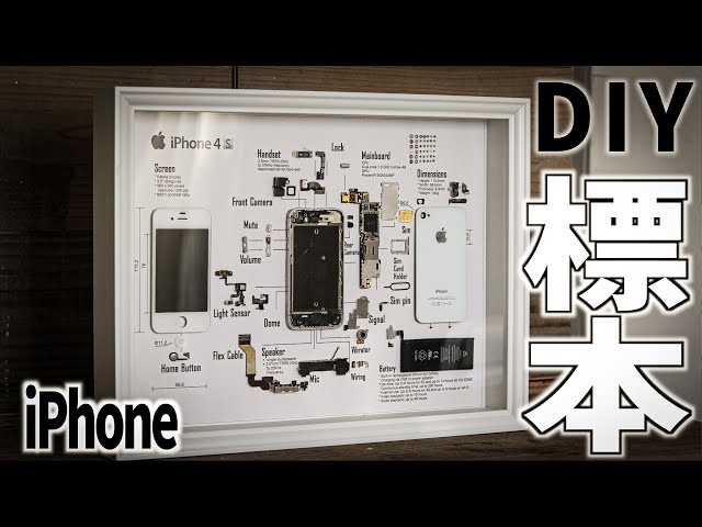 DIY】使わなくなったiPhoneでカッコイイ標本アートをDIY！ - YouTube
