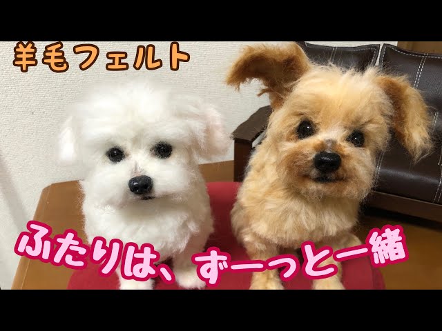 我が子とずーっと一緒！！【わたわたペットの分身の術】 - YouTube