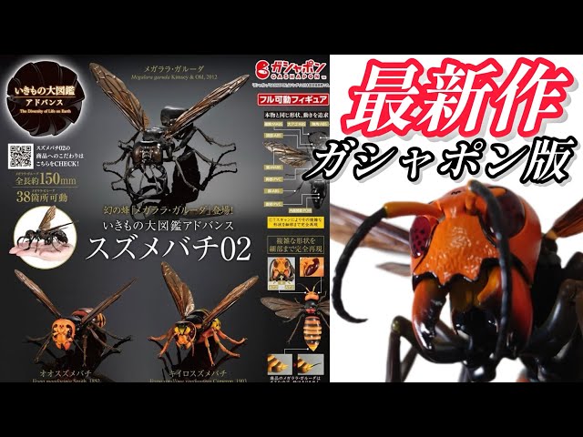ガチャガチャ】いきもの大図鑑アドバンス『スズメバチ02』【最新作
