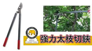 FG 強力太枝切鋏 S621-RG ｜金象印の公式通販サイト【金象本舗】