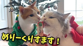 Happy Merry Christmas everyone! 🌲 - YouTube