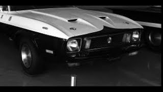 Japan's Ford Mustang Police Car - フォードマスタングパトカー