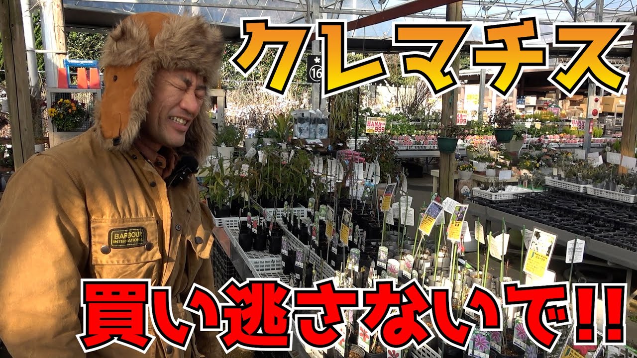 Well-aged] Don't miss out on this season's stock of wild-picked