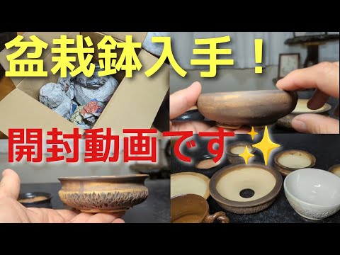 盆栽鉢入手！開封動画です - YouTube