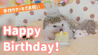 ハリネズミのお誕生日に手作りケーキをプレゼント！Birthday present