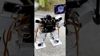 香港の学生チームが開発した二足歩行可能な「世界最小の人型ロボ