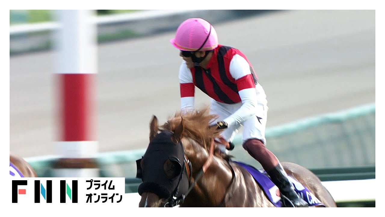 スプリンターズS・GⅠ】秋GⅠ開幕戦 スプリント王は8歳ウイン