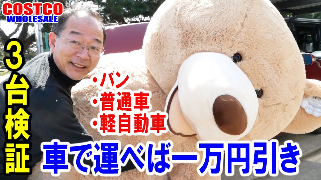We got the biggest 236cm teddy bear at Costco! We used three cars
