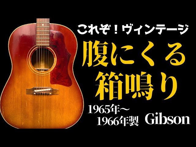 語りかけてくるアコギ【1965-66年製Gibson J-45】色褪せぬ力強さに