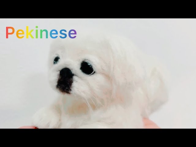 羊毛フェルトで作るペキニーズ【全身・尻尾・ヒゲ】Part④完成形