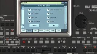 Pa900 - PROFESSIONAL ARRANGER | KORG (Japan)