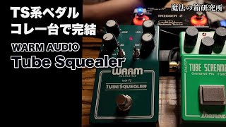 Comprehensive Testing of the WARM AUDIO Tube Squealer, a TS-type