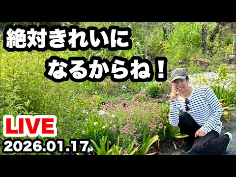 ◇継続は力ということの証明！ホンマか？ゆるふわ園芸やっちゃんねる