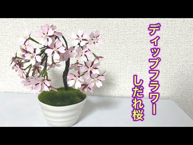 514 #ディップフラワー しだれ桜を作ってみました。#ディップアート