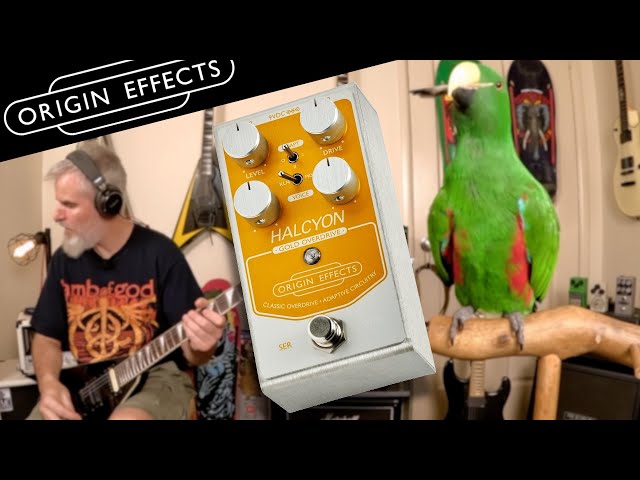 Halcyon Gold by Origin Effects - The Ultimate Klon! - YouTube