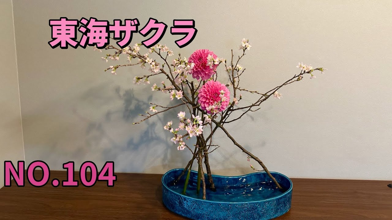 2025年2月8日 東海桜を剣山なしで、いけてみました。 - YouTube