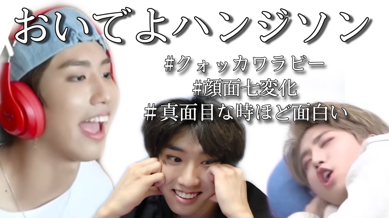 初心者さん向け、ハニの紹介動画🐿〈StrayKids/スキズ/Han/ハン