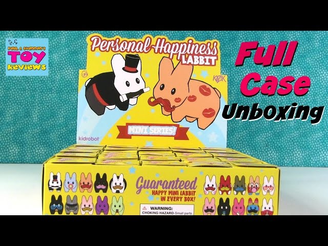 Kidrobot Personal Happiness Labbit Full Case Blind Bag Unboxing