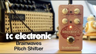 TC Electronic | Product | BRAINWAVES PITCH SHIFTER