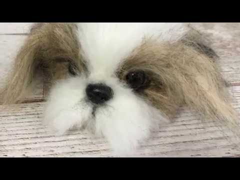 羊毛フェルトで作るリアルシーズーの作り方 - YouTube