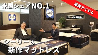 Sealy(シーリー) マットレス「オニキス25」厚さ33cm レストサポート