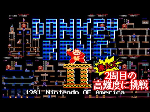 Donkey Kong2 ドンキーコング2 1981 Nintendo OF America【Arcade