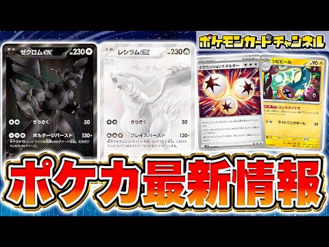 ポケカ】『ホワイトフレア』の当たりランキング！買取相場や封入率も