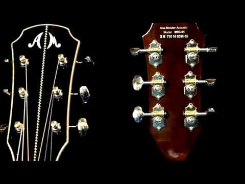 ARIA High End MEISTER SERIES Acoustic Guitar MSG-05 - YouTube