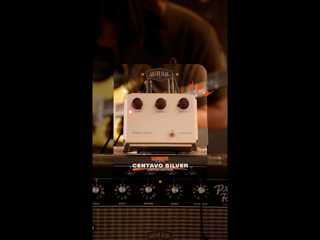 Centavo Silver Limited Edition de Warm Audio - YouTube