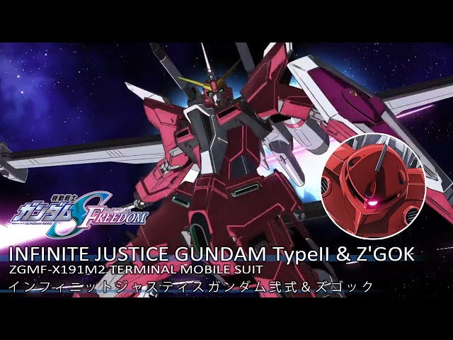 INFINITE JUSTICE GUNDAM TypeⅡ & Z'GOK インフィニットジャスティス