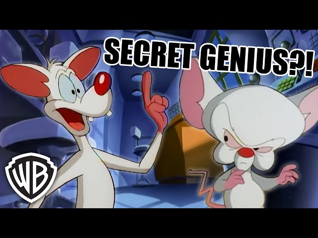 Pinky & The Brain moments that make me question who's REALLY the