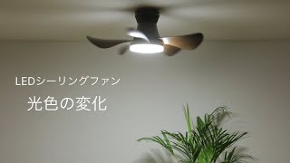 ホタルクス LEDシーリングファン 【～6畳/軽量・コンパクト/LED調色