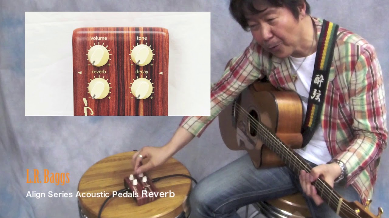 AGB47：新製品レビュー】L.R. Baggs / Align Series Acoustic Pedals