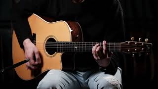 Seagull Artist Studio CW Deluxe QII - YouTube