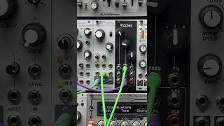Mutable instruments Ripples (2020) - Eurorack Module on ModularGrid