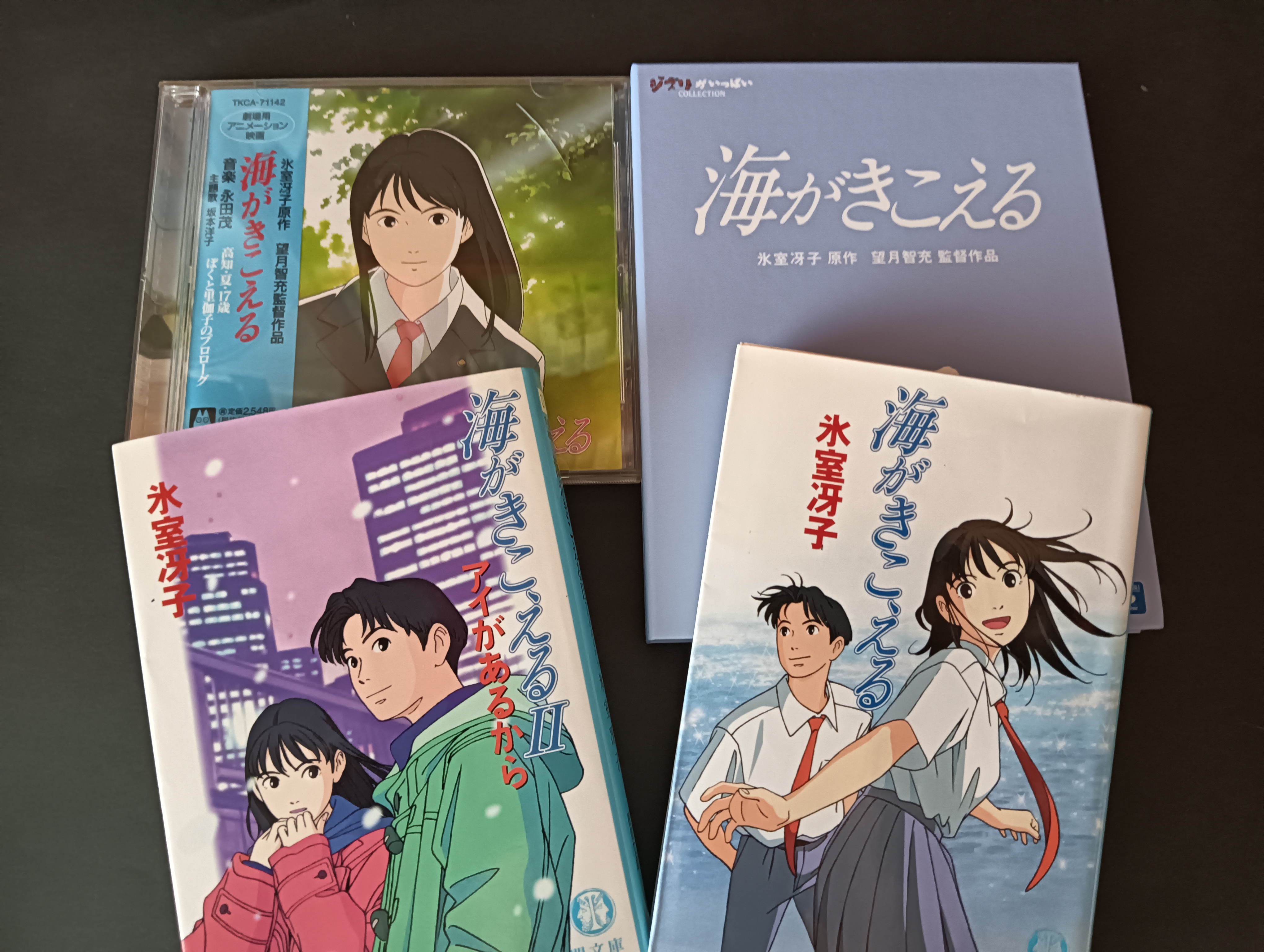 いまも色褪せない青春小説の傑作：氷室冴子「海がきこえる」 - ヒントの森