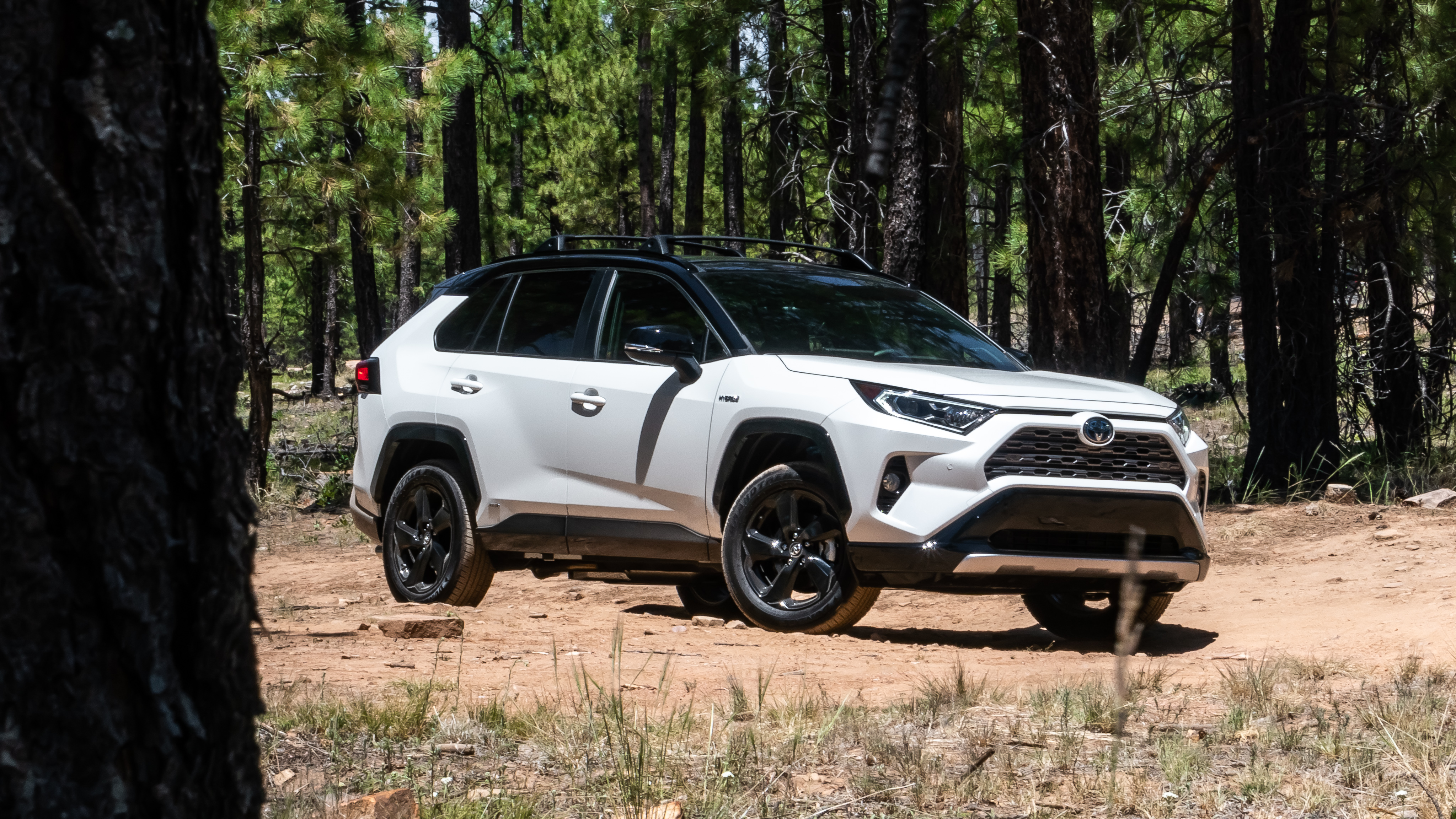 SIX SPEED BLOG: THIS GO, GO GADGET SEES 45-MPG's: 2019 TOYOTA RAV4