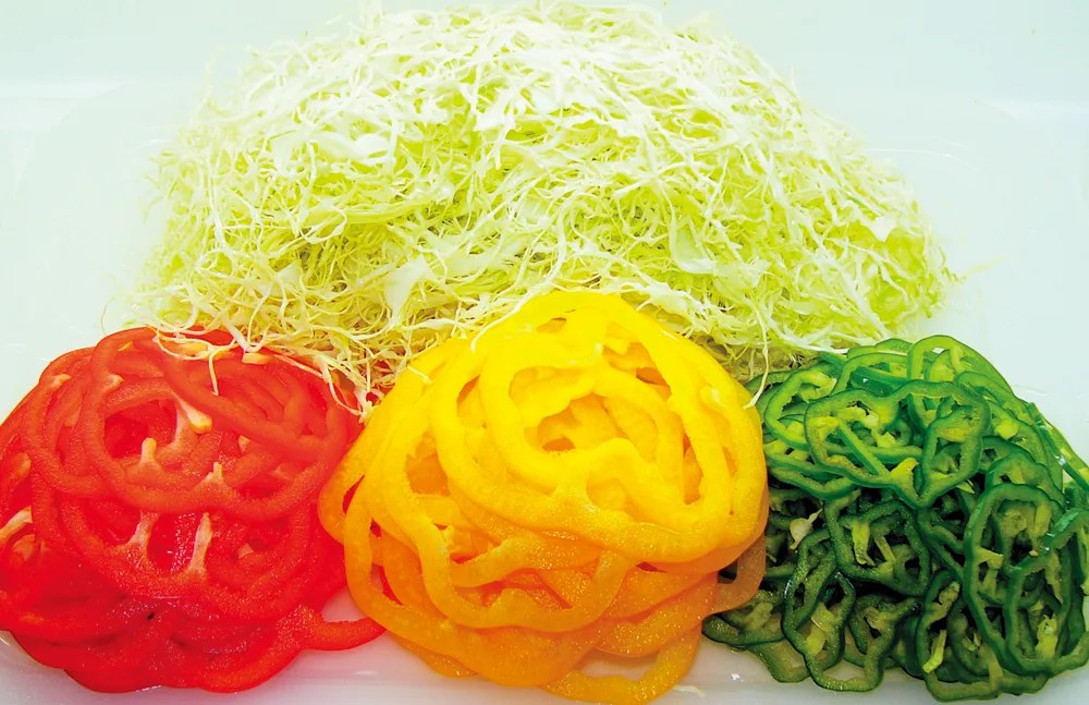 DX-100｜製品一覧｜野菜加工機、フードスライサーのことなら 株式会社