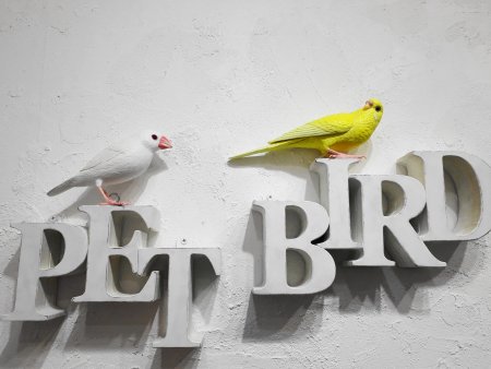 池田はなえ氏の作品展「ゆかいな木彫りのインコたち」鑑賞レポート