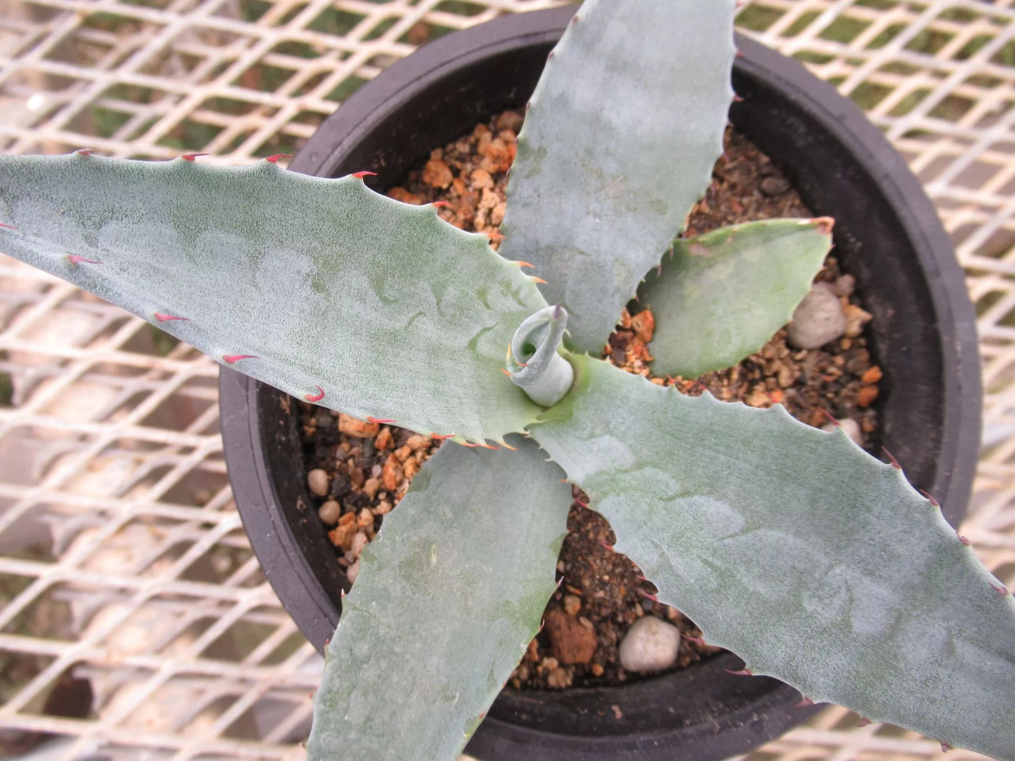 IMG_2181.jpg?fit=2048,1536&ssl=1