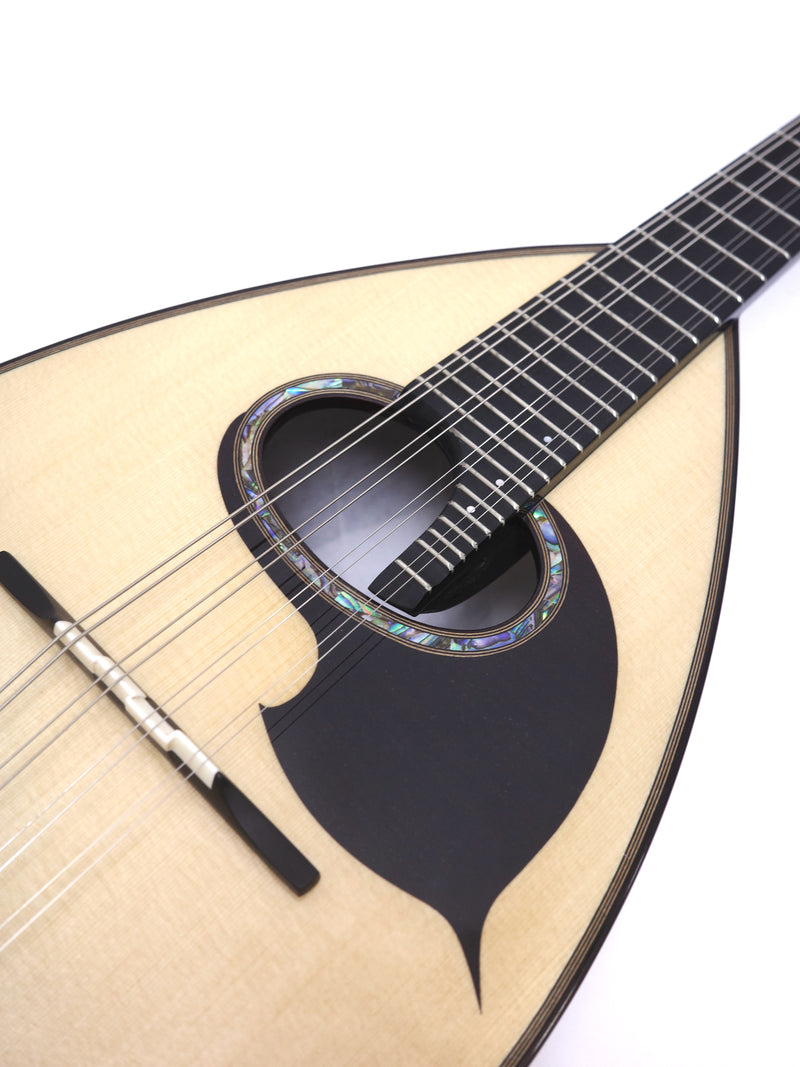 落合マンドリンS-SHR | イケガク