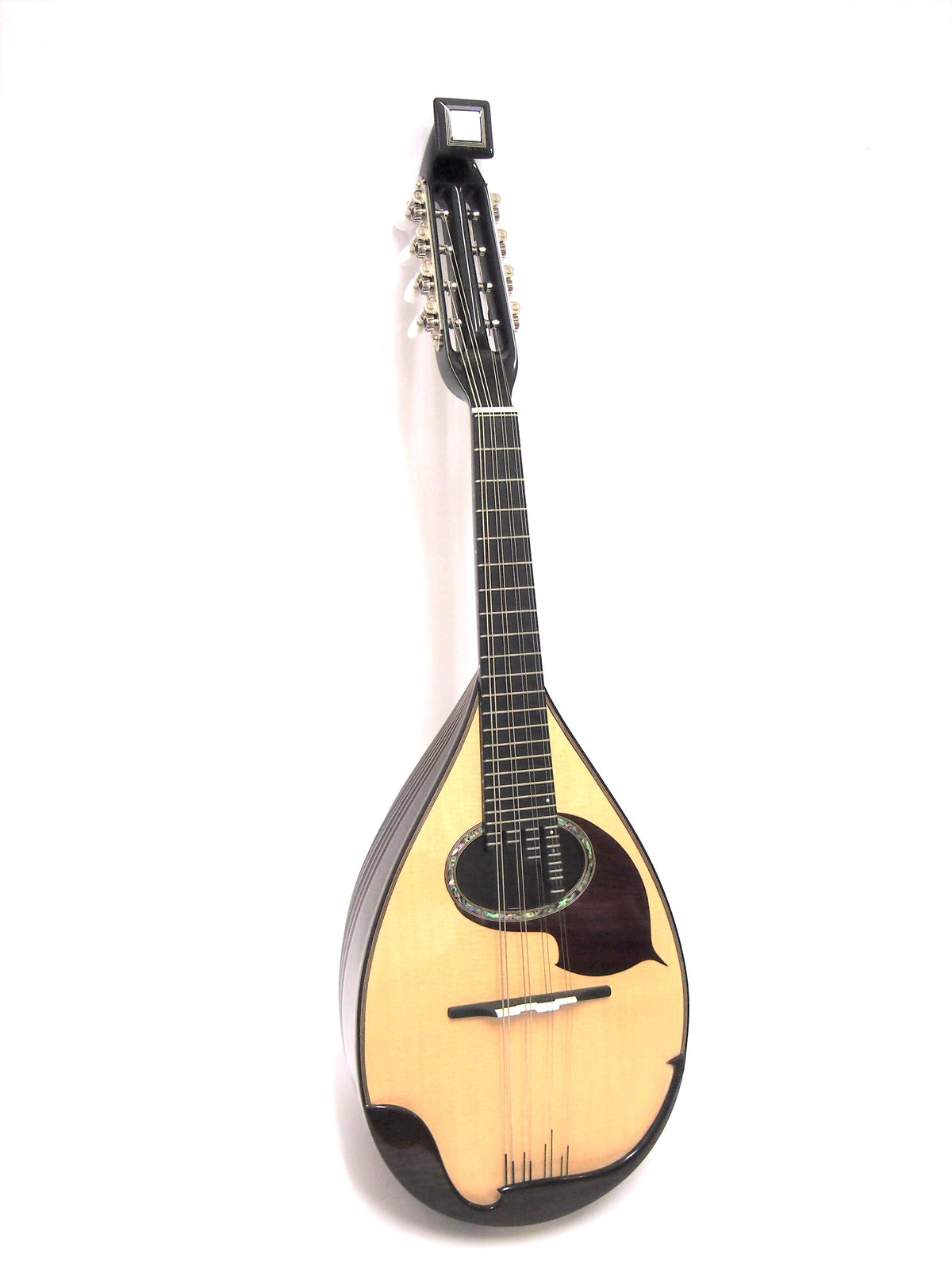 P1018732_1200x.jpg?v=1676885946