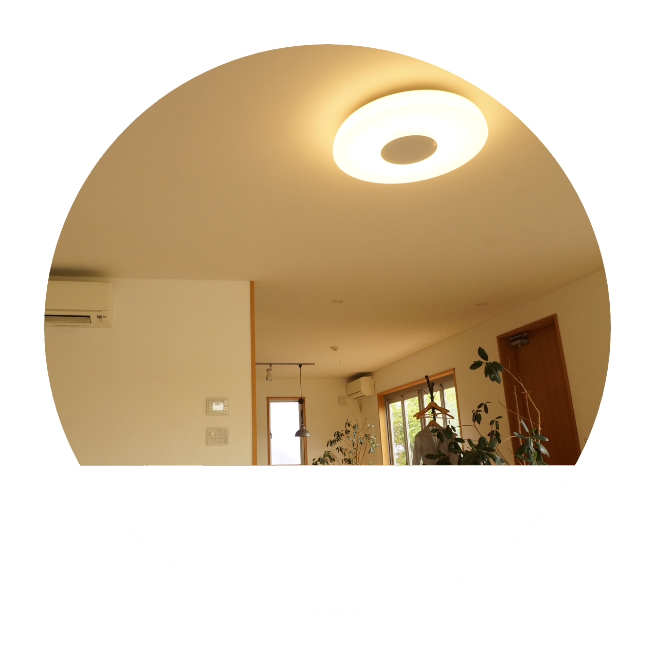 ソニー | マルチファンクションライト